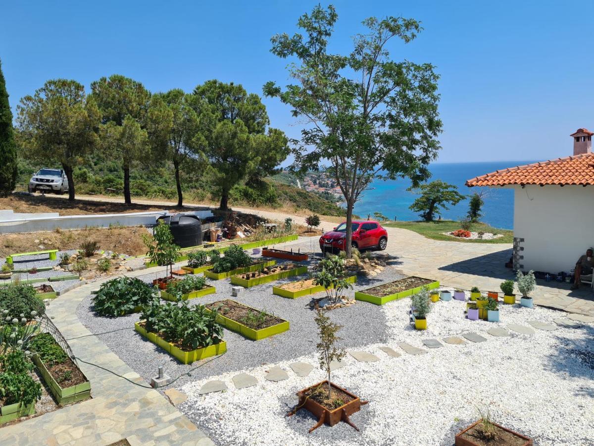 Greco Paradise Suites - Adult Only Nea Skioni Exteriör bild