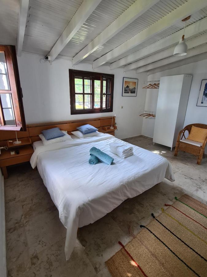 Greco Paradise Suites - Adult Only Nea Skioni Exteriör bild