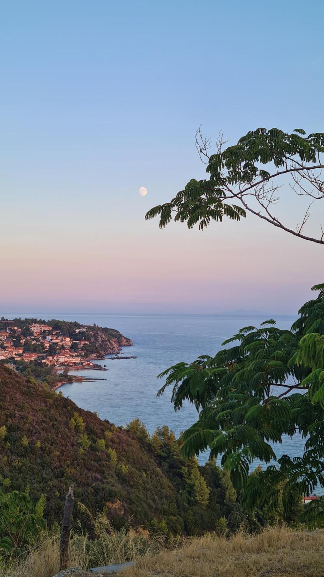 Greco Paradise Suites - Adult Only Nea Skioni Exteriör bild